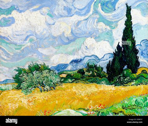 Vincent Van Gogh Champ De Bl Avec Cypr S Huile Sur Toile