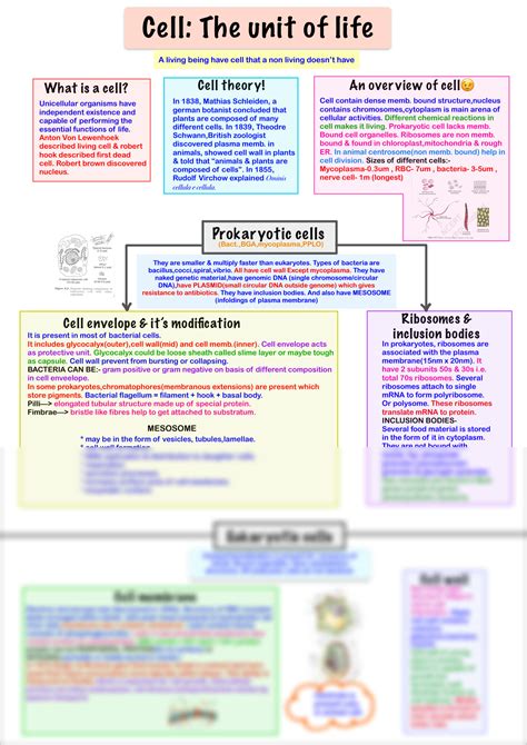 SOLUTION Cell The Unit Of Life Mind Map Studypool