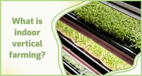 What is indoor vertical farming