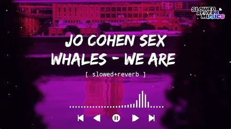 Jo Cohen Sex Whales We Are Slowed Reverb Slowed Reverb Musics