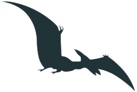 Dinosaur Silhouette Pteranodon Png