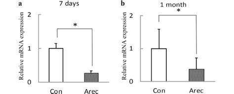 MRNA Expression Of DUSP4 In HGEPs Stimulated With Arecoline For A