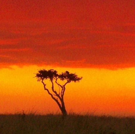 Sunset on the plains of Africa by saint-freakish