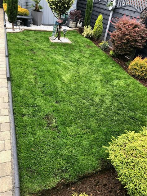 Grass Seed for Shaded Areas - Garden Lawncare Guy