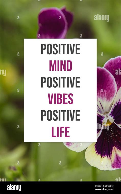 Positive Vibes Images