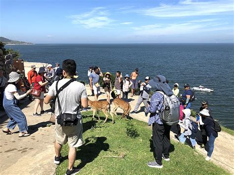 端午連假第2天 805人登大坵 創單日最高紀錄 馬祖日報