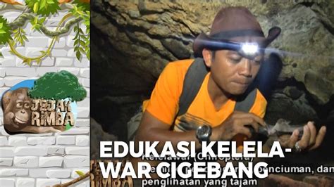 Sebuah Edukasi Kelelawar Gua Cigebang Jejak Rimba Eps Youtube