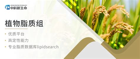 项目文章plant Physiology If 8005 四川农业大学利用植物脂质组学等技术研究水稻 哔哩哔哩