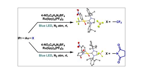 Mechanism Of Photoredox Initiated Cc And Cn Bond Formation By