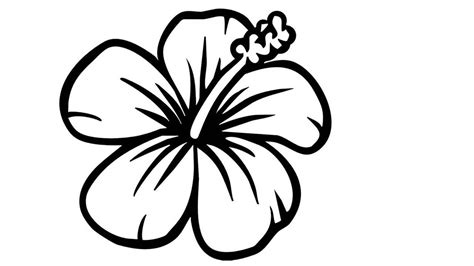 How To Draw A Flower Draw A Flower Step By Step Video Hawaiian