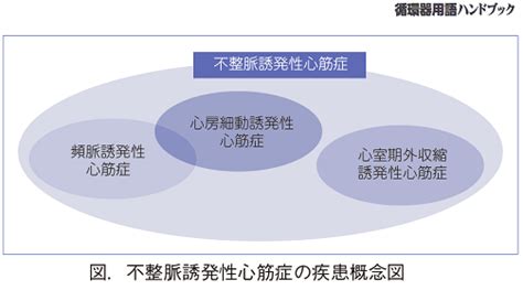 図解 循環器用語ハンドブック