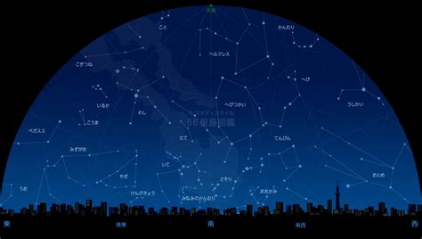 夏の星座｜88星座図鑑