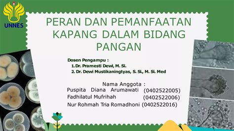 Peran Dan Pemanfaatan Kapang Dalam Bidang Pangan Kelompok 3 Pdf