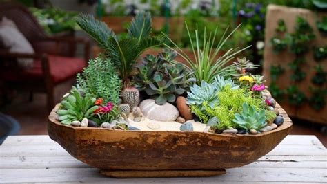 Succulent Indoor Gardens