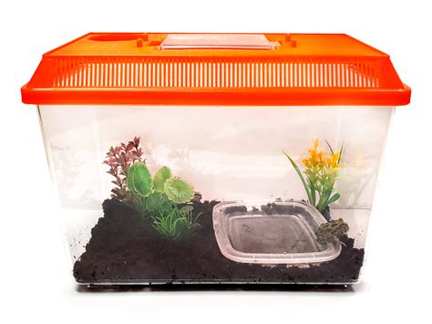 Live Tadpole Growing Kits Butterfly And Nature Ts