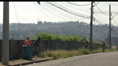 Diário TV 1ª Edição Moradores de Mogi das Cruzes reclamam de terrenos