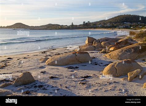 Beach at Bicheno at dawn Stock Photo - Alamy