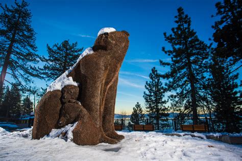 Home Tahoe City Downtown Association