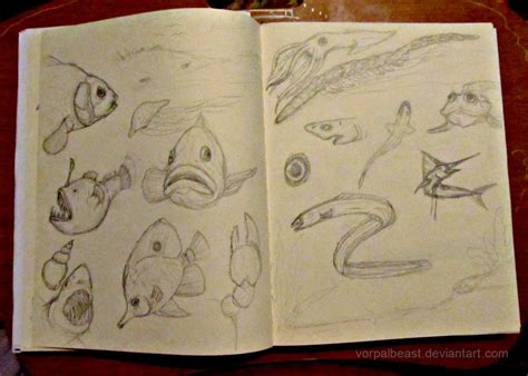 Sea Life Sketches At Explore Collection Of Sea