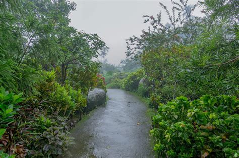 Gorgeous Photos Of Meghalaya In Monsoons To Make Your Jaw Drop