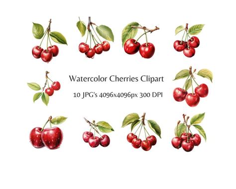 Watercolor Cherries Clipart 10 High Quality Jpgs Nursery Art Card