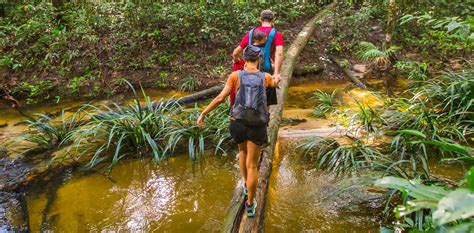 Guyane Les Plus Beaux Sentiers De Randonnée Dans La Forêt Amazonienne