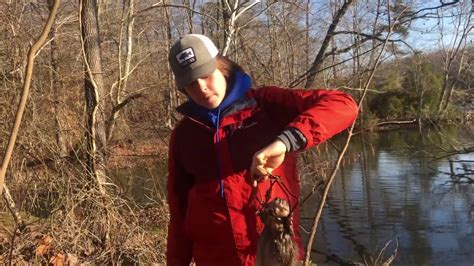 Trapping Muskrats In 110 Conibears Youtube