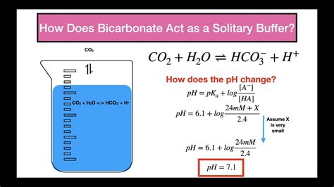 Calculating Ph Of A Solution Buffered By Bicarbonate Youtube