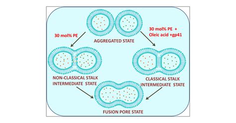 Combination Of Oleic Acid And The Gp Fusion Peptide Switches The