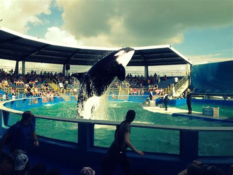 America Diaries: Miami Sea Aquarium