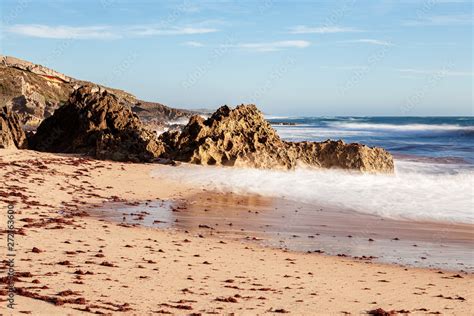 Praia As Algas Vermelhas Na Areia Trazidas Pelas Ondas Que Rebentam