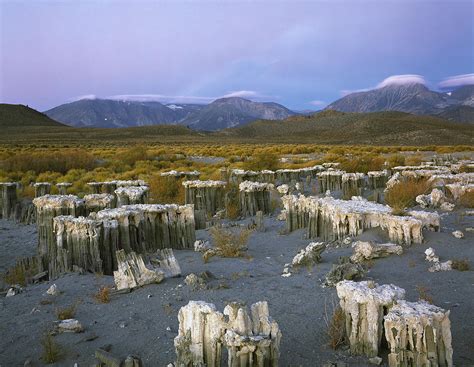 An Ancient Watermark Photograph By Paul Breitkreuz Fine Art America