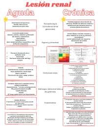 Lesi N Renal Aguda Y Cr Nica Esquemas Y Mapas Conceptuales De