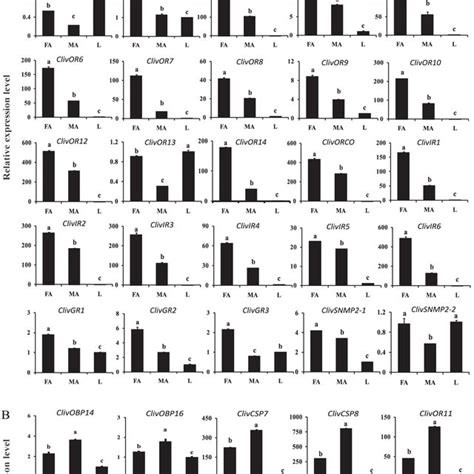 Sex Specific Expression Of C Lividipennis Chemoreception Genes A Download Scientific