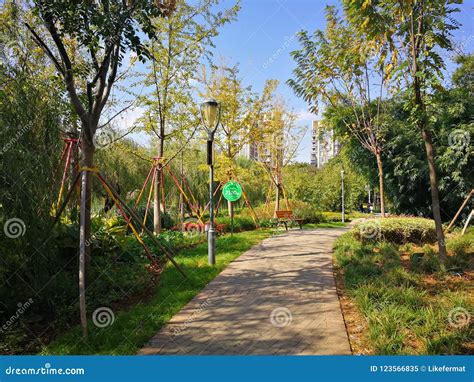 nanhu park stock image image  hongshan park rest