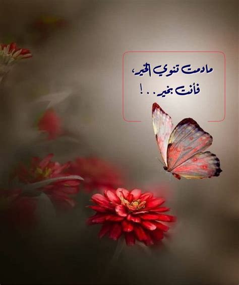 Pin By Peony On همس الكلام Good Morning Arabic Forgotten Quotes