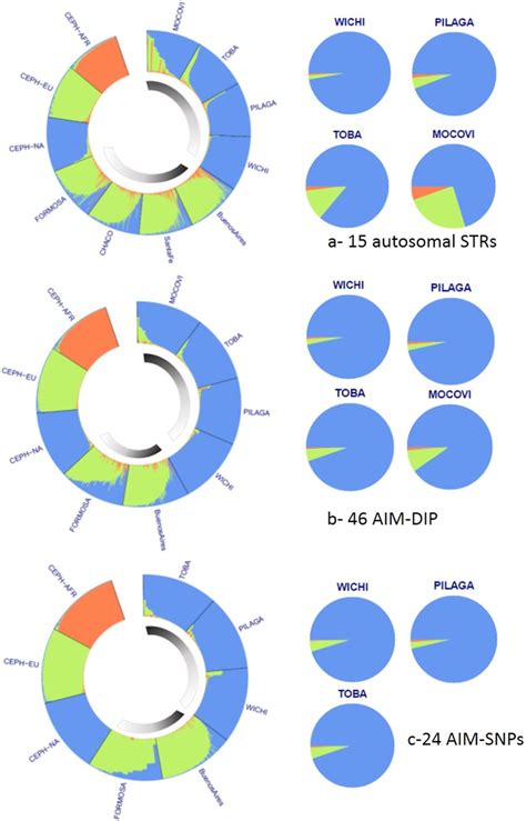 Graphical Representation Of Admixture Analysis By Structure Software