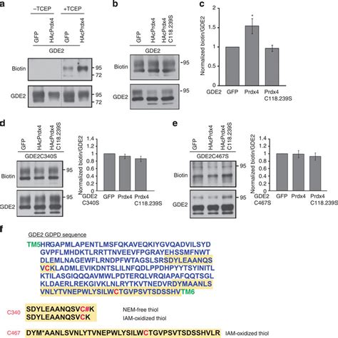 Prdx Oxidizes Cys Residues Within The Gde Gdpd Domain A B D E