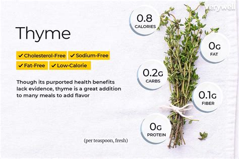 Thyme Benefits, Side Effects, and Preparations