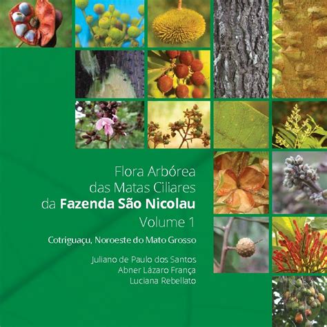 Flora Arb Rea Das Matas Ciliares Da Fazenda S O Nicolau Biologia Vegetal