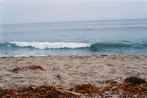 Malibu Beach, Film Photography, Digital Download - Etsy