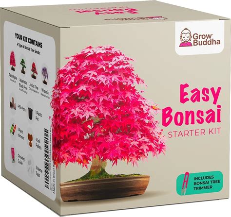 Grow Your Own Bonsai Kit Easily Grow 4 Types Of Bonsai Trees With Our