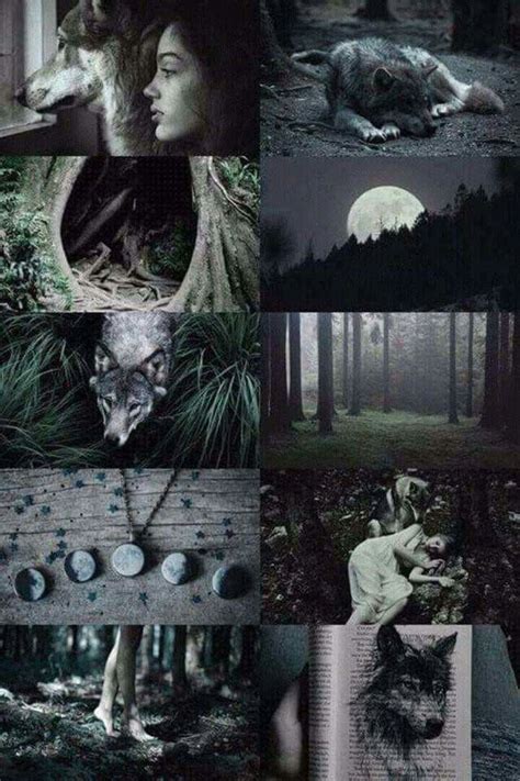 Werewolf Aesthetic Werewolf Aesthetic Werewolf Aesthetic Magic