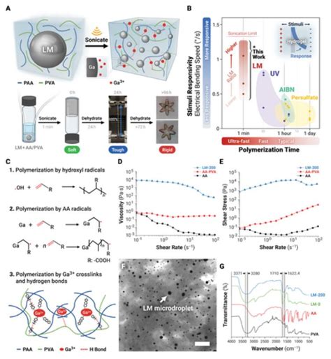 Liquid Metal Microdroplet Initiated Ultra Fast Polymerization Of A