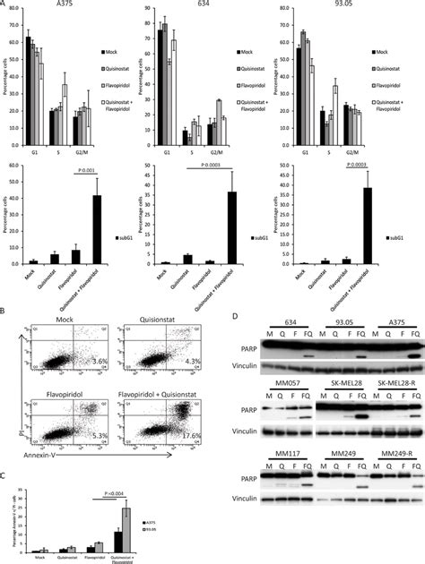 The Combination Of Quisinostat And Flavopiridol Induces Apoptosis In Cm