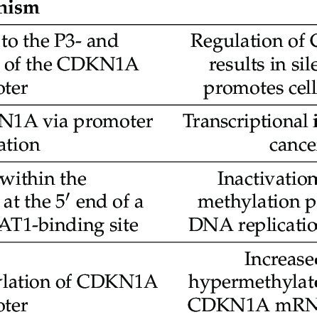 actions  cdknap   cancer studies