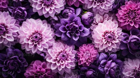 Purple Flowers Background Stock Photos, Images and Backgrounds for Free ...