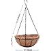 Amazon Eimquvw Metal Hanging Planters Basket Set Of Hanging