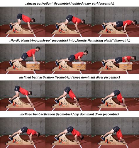 Best Practice Guidelines For Hamstring Training Sportsmith