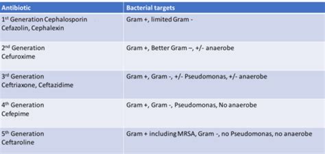 Antibiotics for Skin and Skin Structure Infections Flashcards | Quizlet